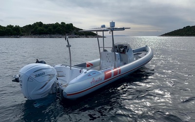 Cobra RIBs Nautique 8.7