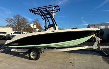 Yamaha 190 FSH (2018)