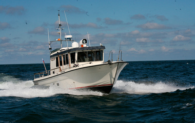 Targa 37