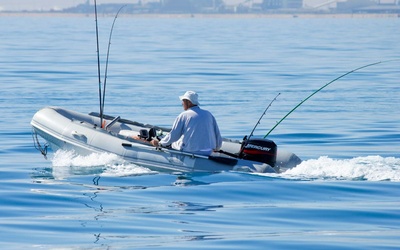 Tiger Marine Tender 360