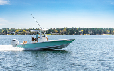 Sea Hunt BX 25 BR