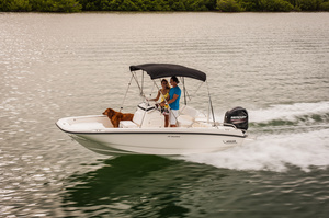 Boston Whaler 170 Dauntless