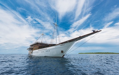 Custom Boats Ocean Pure 1