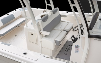 Robalo R302
