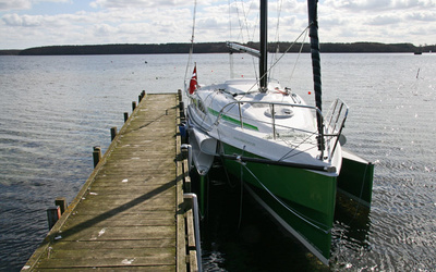 Dragonfly 28