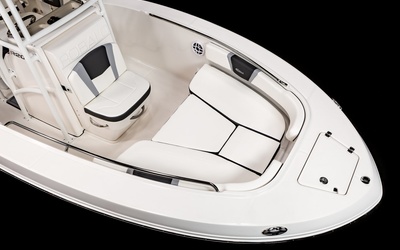 Robalo R200
