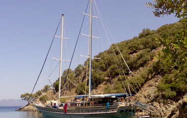 Kurt Brothers Marine Prenses Lila