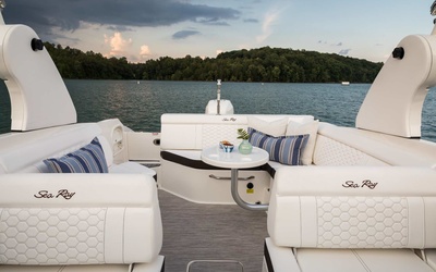 Sea Ray SDX 270 Outboard