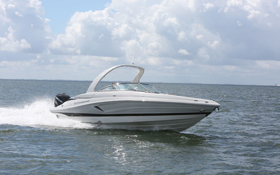 Crownline 290 XSS