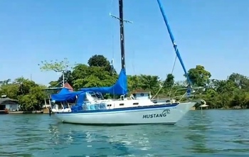 Islander 36 (1974)
