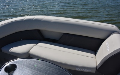 Sylvan Mirage Fish 8522