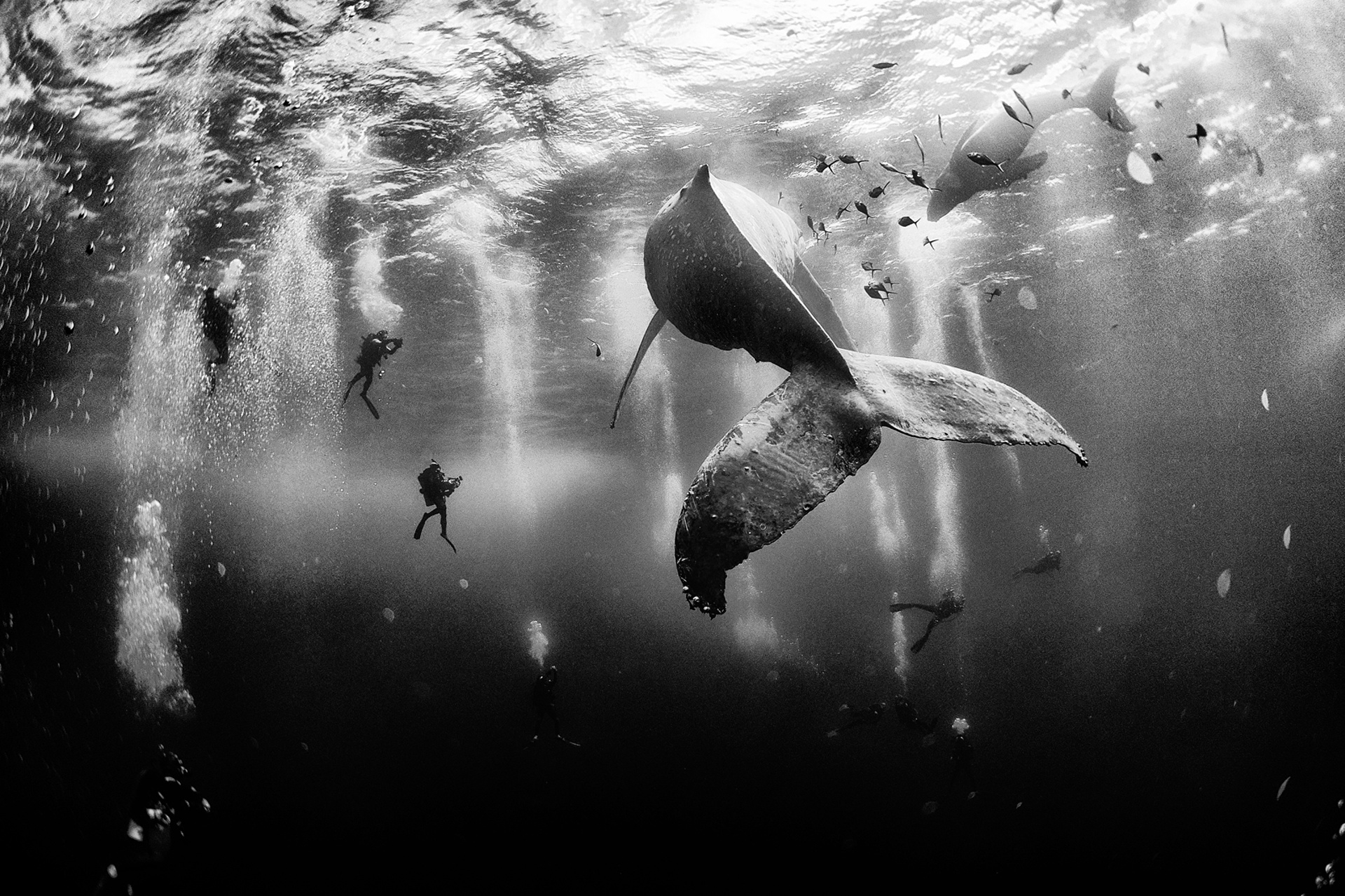 national geographic best photos of all time
