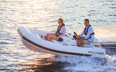 Williams Turbojet 325