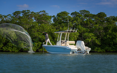 Boston Whaler 220 Dauntless
