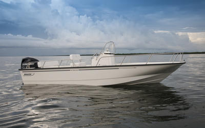 Boston Whaler 210 Montauk