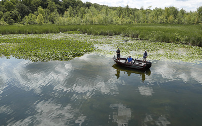 Starcraft Storm 166 SC