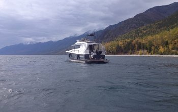 Sargo 36 Fly
