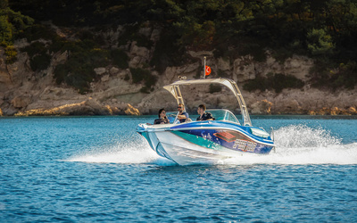 Mercan Butterfly 24-OB