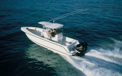 SeaVee 290