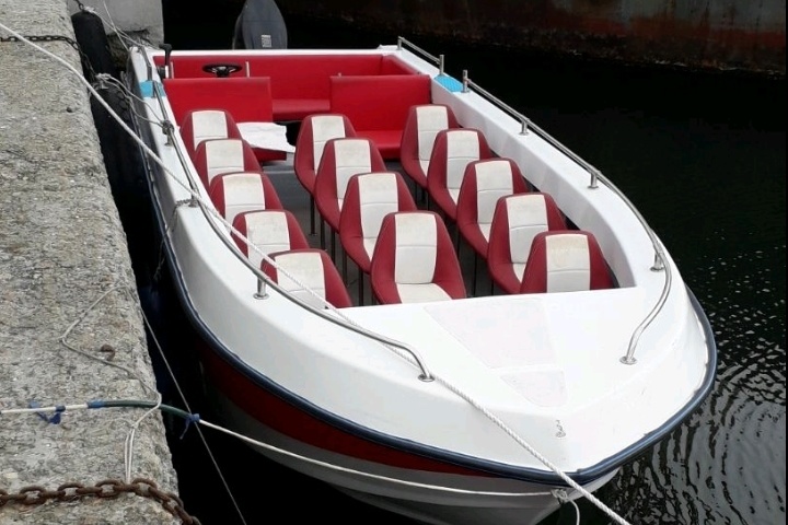 Sea Ray SLX300 (2022)