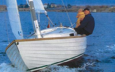 Brandt-Moeller New Function