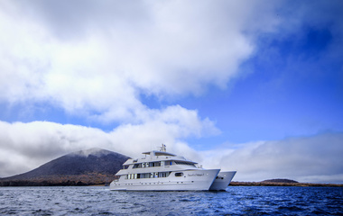 Custom Boats Treasure