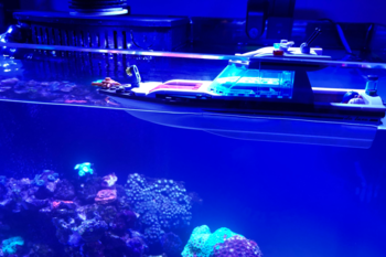 How the final cost of a new yacht is formed