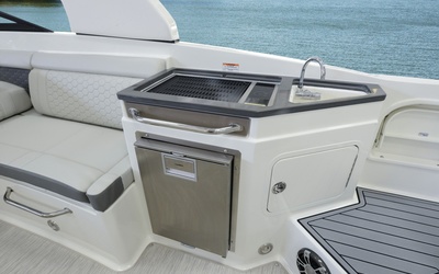 Sea Ray SDX 290 Outboard