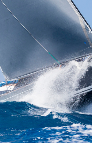 &laquo;Swan Sea&raquo;