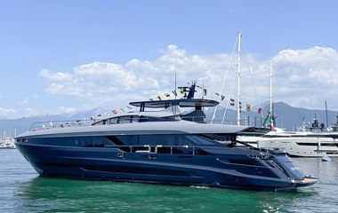 Mangusta Never Give Up