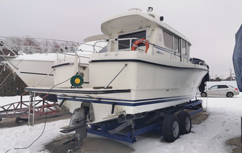 Sargo 31 (2008)