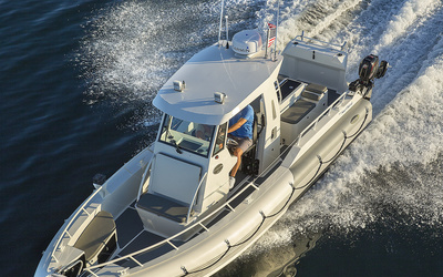 Life Proof 26 Hard Top