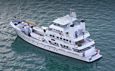 Hike Metal 43m Expedition