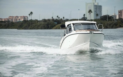 Bayliner T23 Explorer