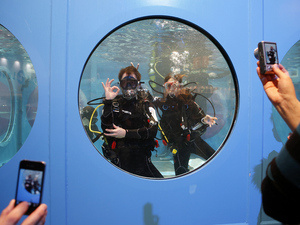 Boat Dusseldorf 2014