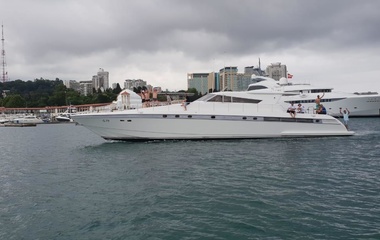 ARNO Leopard Wella de Plata