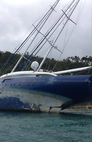 A sea giant washed ashore in Vanuatu