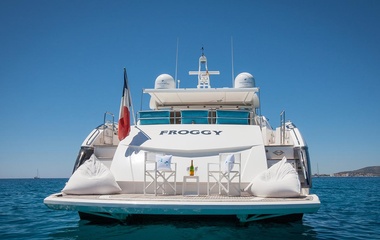 Sunseeker Froggy