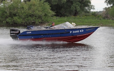 Aqua Terra Игуана