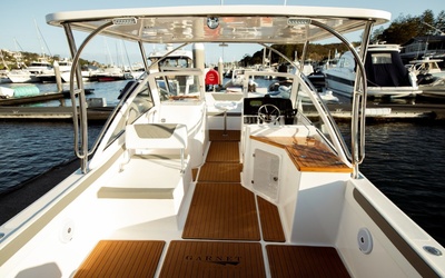 Garnet Offshore 270 DC