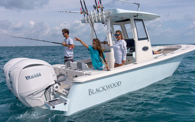 Blackwood 290 LX Open