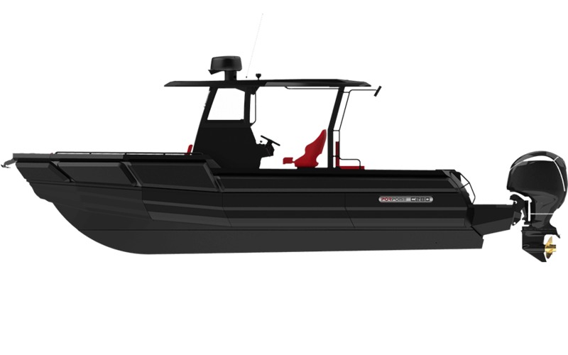 Porpoise C295