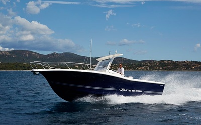 White Shark 296CC