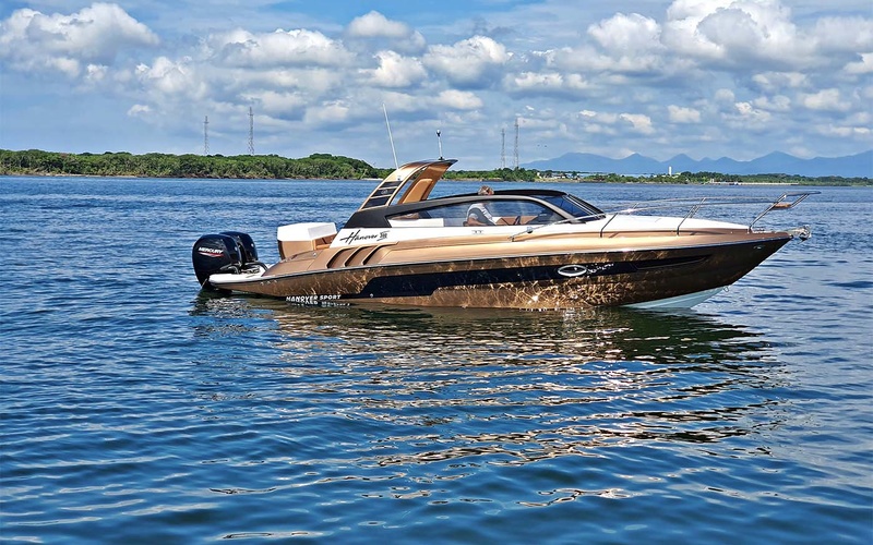 Hanover 305
