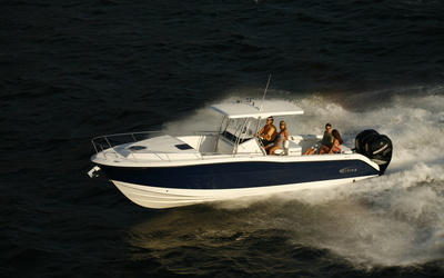 Fishing Raptor 320 Cuddy
