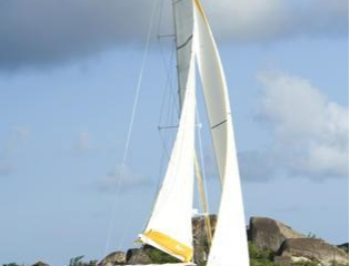 Alliaura Lady Dominique