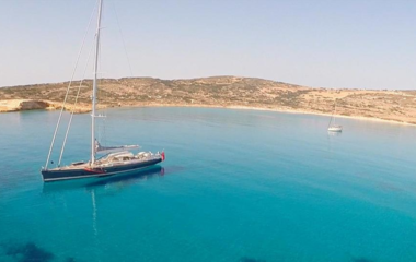 Southern Wind Freebird