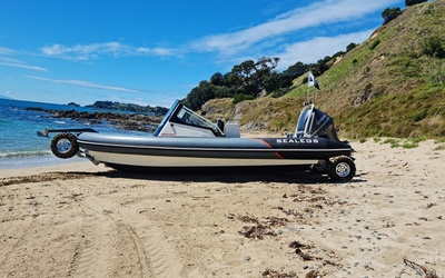 Sealegs 7.5m Semi-Cab RIB