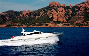 Leopard Hard Work II