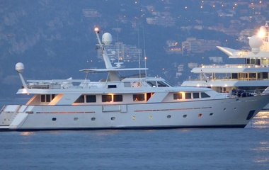 Codecasa Nightflower